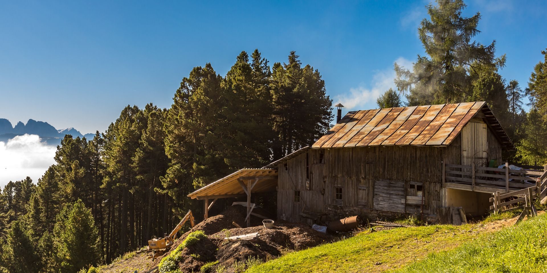 Bio Kiefer - Föhren  - Öl direkt von der Destille 